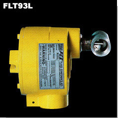 FLT93L在线式流量/温度开关
