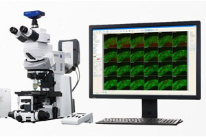 蔡司Axio Examiner固定载物台式研究级显微镜