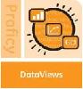 DataViews